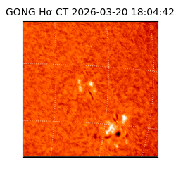 gong - 2026-03-20T18:04:42