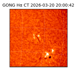 gong - 2026-03-20T20:00:42