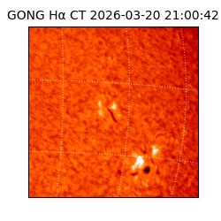 gong - 2026-03-20T21:00:42