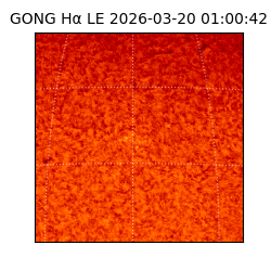 gong - 2026-03-20T01:00:42