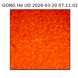 gong - 2026-03-20T07:11:02