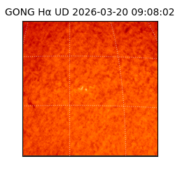 gong - 2026-03-20T09:08:02