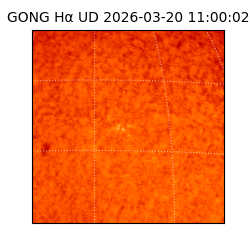 gong - 2026-03-20T11:00:02
