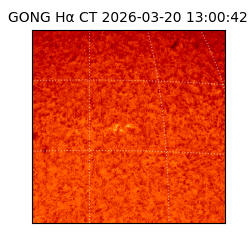 gong - 2026-03-20T13:00:42