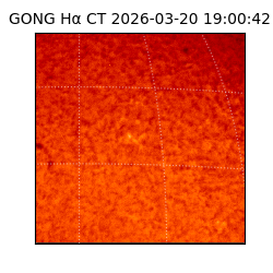 gong - 2026-03-20T19:00:42