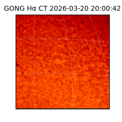 gong - 2026-03-20T20:00:42