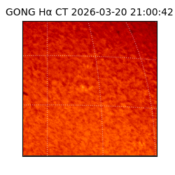 gong - 2026-03-20T21:00:42