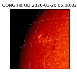 gong - 2026-03-20T05:00:02