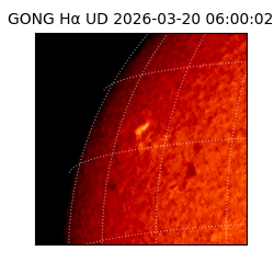 gong - 2026-03-20T06:00:02