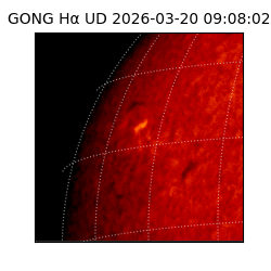 gong - 2026-03-20T09:08:02