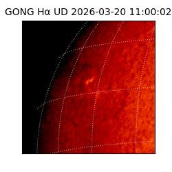 gong - 2026-03-20T11:00:02