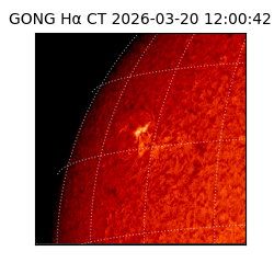 gong - 2026-03-20T12:00:42