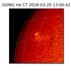 gong - 2026-03-20T13:00:42