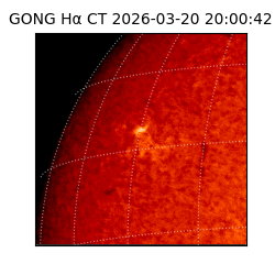 gong - 2026-03-20T20:00:42