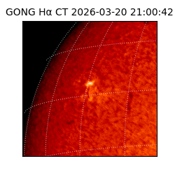 gong - 2026-03-20T21:00:42