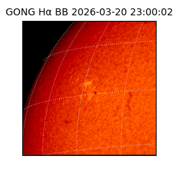 gong - 2026-03-20T23:00:02