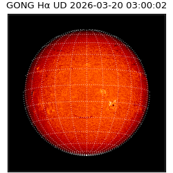 gong - 2026-03-20T03:00:02