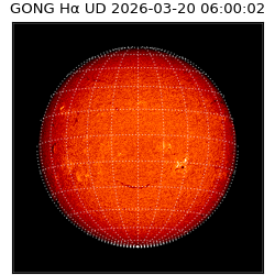 gong - 2026-03-20T06:00:02