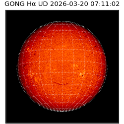 gong - 2026-03-20T07:11:02