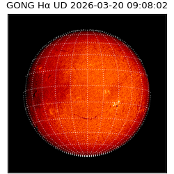 gong - 2026-03-20T09:08:02