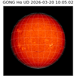 gong - 2026-03-20T10:05:02