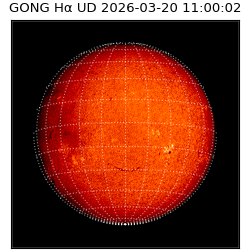 gong - 2026-03-20T11:00:02