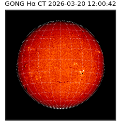 gong - 2026-03-20T12:00:42