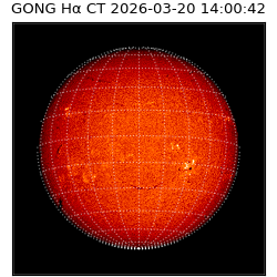 gong - 2026-03-20T14:00:42