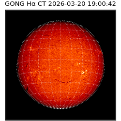 gong - 2026-03-20T19:00:42