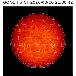 gong - 2026-03-20T21:00:42