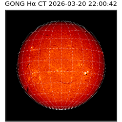 gong - 2026-03-20T22:00:42