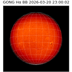 gong - 2026-03-20T23:00:02
