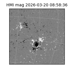 shmi - 2026-03-20T08:58:36