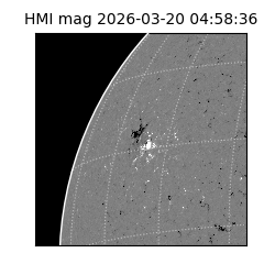 shmi - 2026-03-20T04:58:36