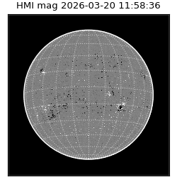 shmi - 2026-03-20T11:58:36