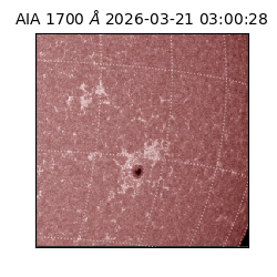 saia - 2026-03-21T03:00:28.446000