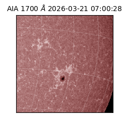 saia - 2026-03-21T07:00:28.446000