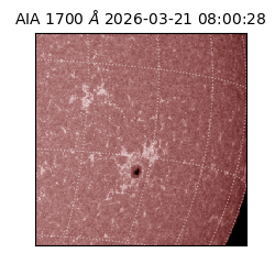 saia - 2026-03-21T08:00:28.446000