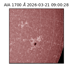 saia - 2026-03-21T09:00:28.449000