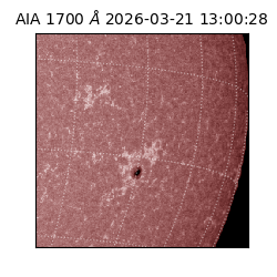 saia - 2026-03-21T13:00:28.450000