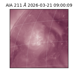 saia - 2026-03-21T09:00:09.624000