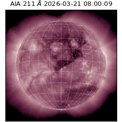 saia - 2026-03-21T08:00:09.624000