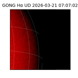gong - 2026-03-21T07:07:02