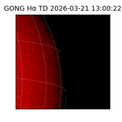 gong - 2026-03-21T13:00:22