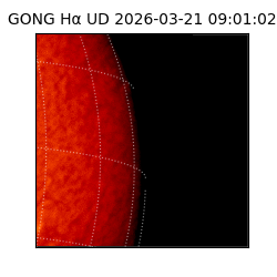 gong - 2026-03-21T09:01:02