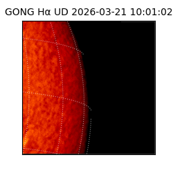 gong - 2026-03-21T10:01:02