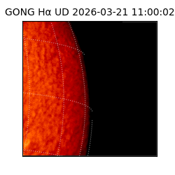 gong - 2026-03-21T11:00:02