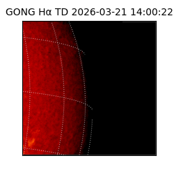 gong - 2026-03-21T14:00:22