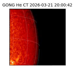 gong - 2026-03-21T20:00:42