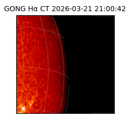 gong - 2026-03-21T21:00:42